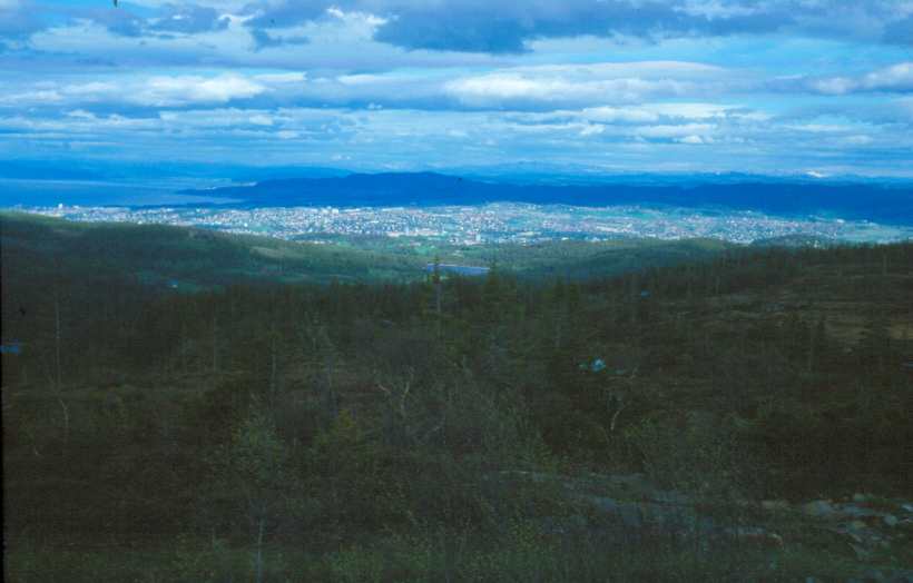 Bild127.jpg