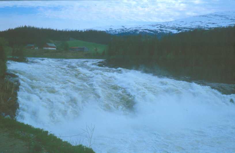 Bild167.jpg